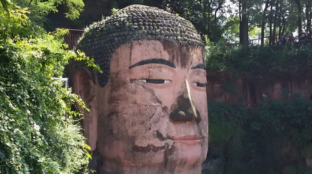 The head of the Leshan Giant Buddha with finely carved serene facial features, framed by dense green trees, highlighting the impressive artistry and harmonious integration of the statue with its surrounding natural environment.