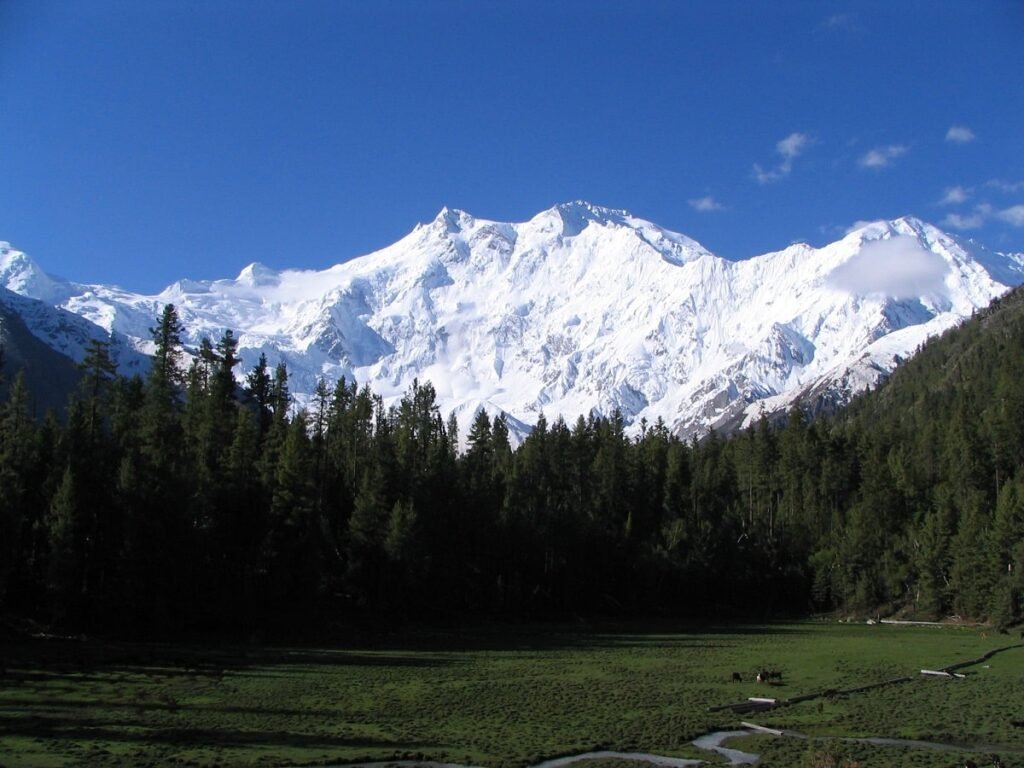 Nanga Parbat, the ninth highest mountain on Earth at 8,126 meters, towering over lush green forests and meadows in Pakistan under a clear blue sky.