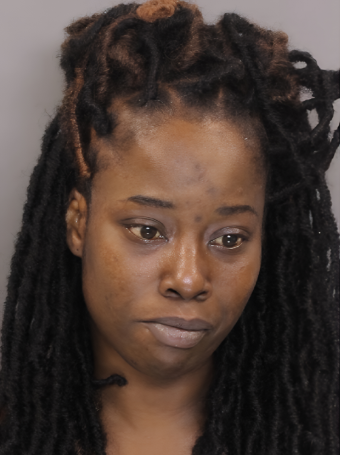 Mugshot of the mother involved in the Nicole Michelle Johnson case.